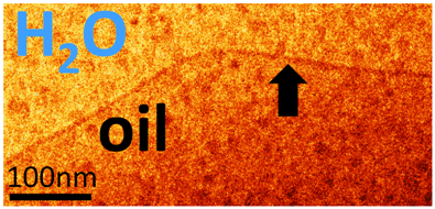 Figure 1: CryoTEM image of the edge of a vitrified faceted droplet. The interfacially-frozen layer, only a few nm thick, is marked by an arrow. No internal structure is visible.